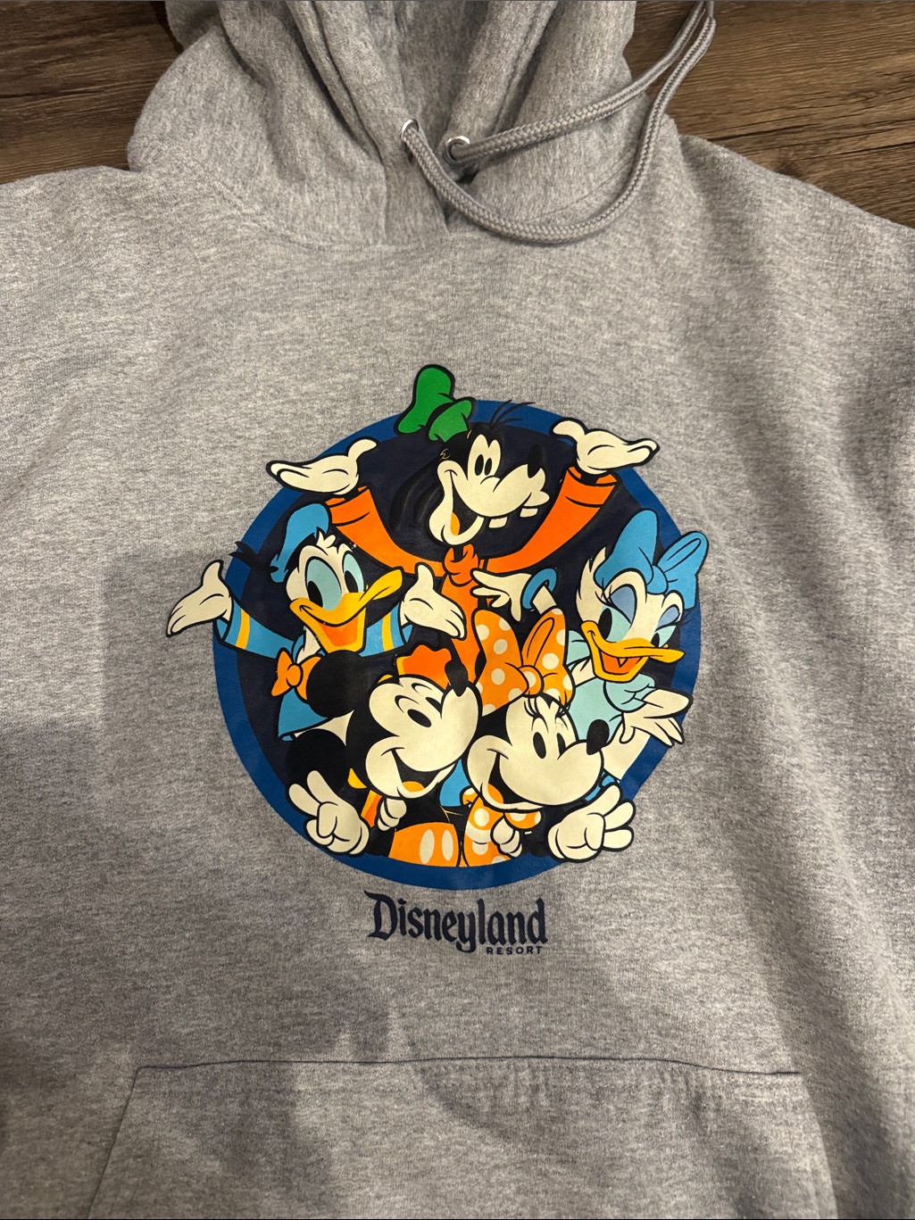 Disney Mens 2023 Edition Gray ZipUp Hoodie With Vintage Character Collage